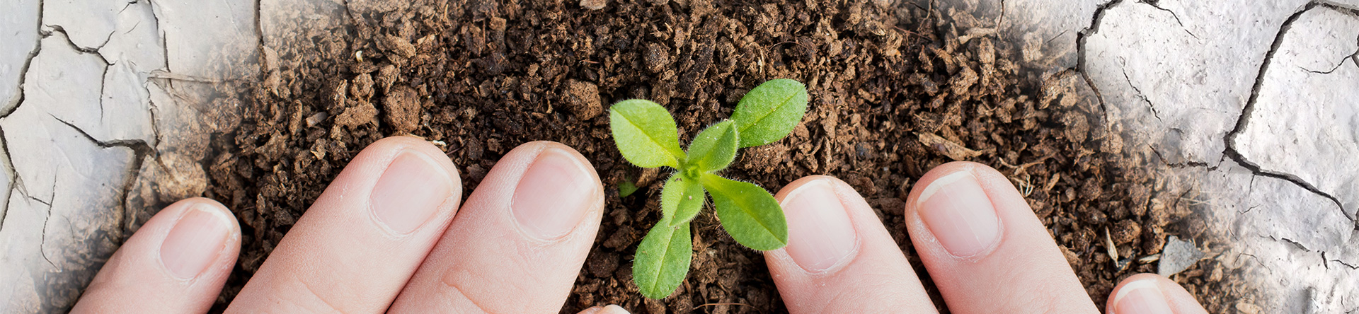 2121非凡·(中国集团)体育官方网站